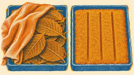 A risograph print of two low trays side by side, one holding a heap of leaves under a draped cloth and one holding milled powder raked flat, the color of both made only where two inks overlap.