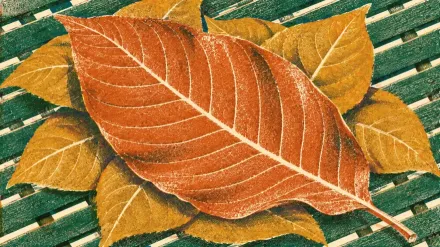 A risograph print of one large mature kratom leaf resting on a heap of leaves across a slatted drying rack, printed in overlapping inks that deepen where the rack crosses the pile.